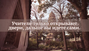 школа-таро